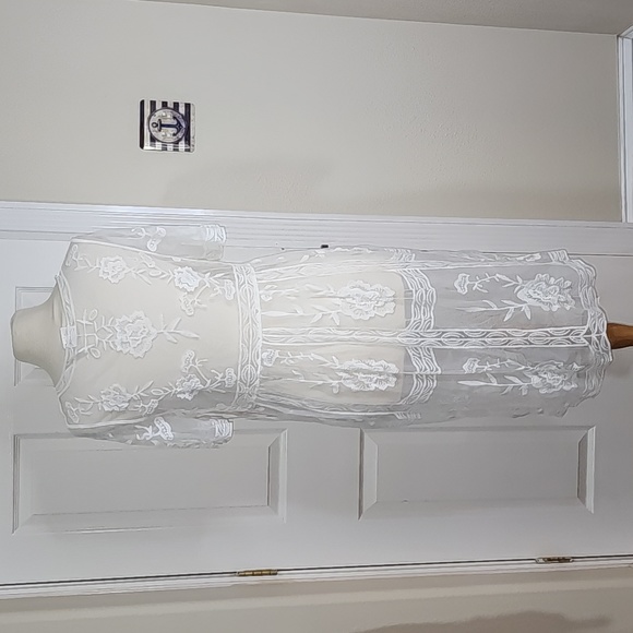 Siren Lily sheer lace maxi dress / cover up - Picture 2 of 5